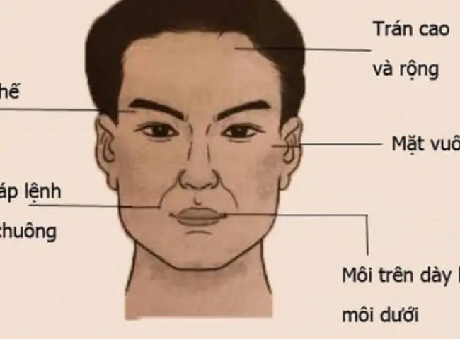 Hướng Dẫn Cách Xem Tướng Mặt Chuẩn Xác: 4 Bước Nhìn Ngũ Quan, Thập Nhị Cung & Hình Dáng Khuôn Mặt Theo Nhân Tướng Học Hướng Dẫn Cách Xem Tướng Mặt Chuẩn Xác: 4 Bước Nhìn Ngũ Quan, Thập Nhị Cung & Hình Dáng Khuôn Mặt Theo Nhân Tướng Học
