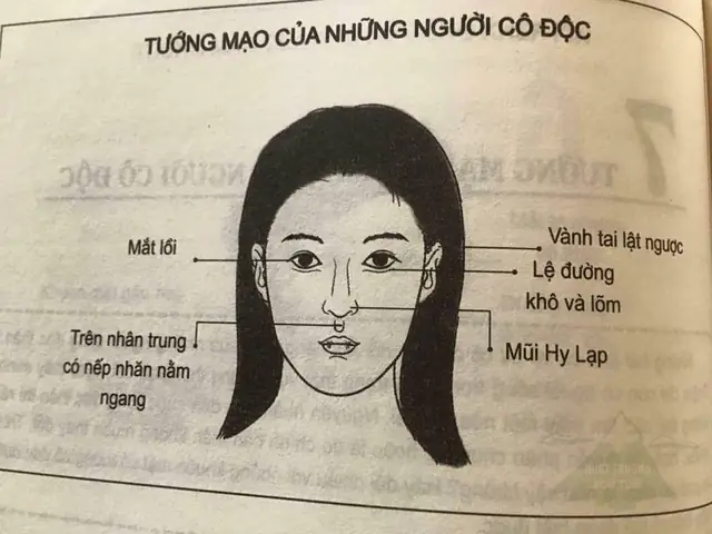 Hướng Dẫn Cách Xem Tướng Mặt Chuẩn Xác: 4 Bước Nhìn Ngũ Quan, Thập Nhị Cung & Hình Dáng Khuôn Mặt Theo Nhân Tướng Học Hướng Dẫn Cách Xem Tướng Mặt Chuẩn Xác: 4 Bước Nhìn Ngũ Quan, Thập Nhị Cung & Hình Dáng Khuôn Mặt Theo Nhân Tướng Học