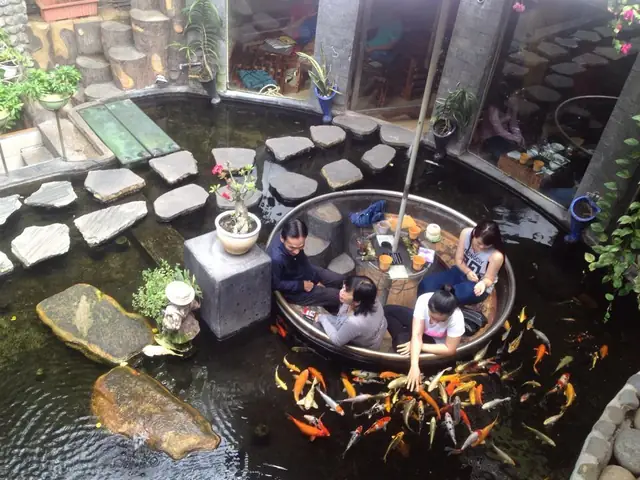 Top 10 Quán Cafe Cá Koi Ở Sài Gòn – Địa Điểm Chill, View Đẹp Và Tiện Nghi Top 10 Quán Cafe Cá Koi Ở Sài Gòn – Địa Điểm Chill, View Đẹp Và Tiện Nghi