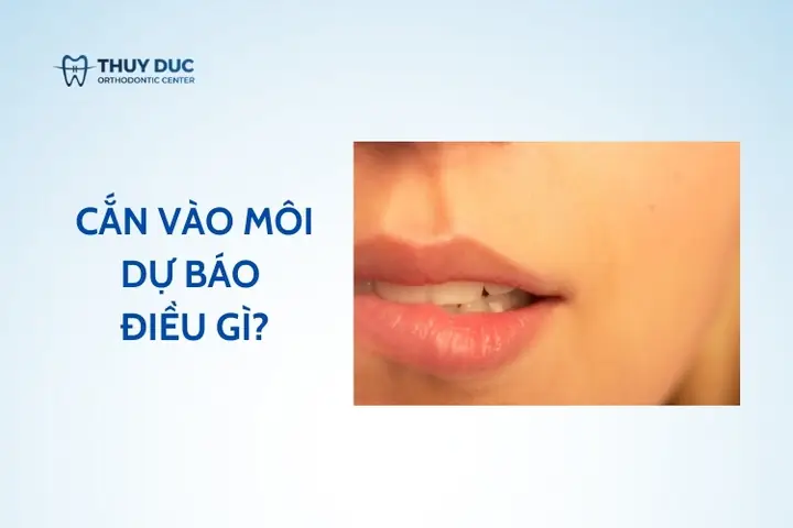 Giải Mã Cắn Vào Môi Là Điềm Báo Gì: Tốt Hay Xấu Theo Khung Giờ Giải Mã Cắn Vào Môi Là Điềm Báo Gì: Tốt Hay Xấu Theo Khung Giờ