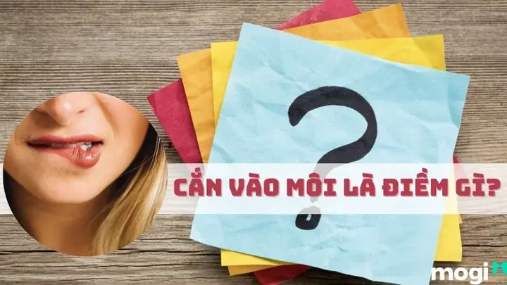 Giải Mã Cắn Vào Môi Là Điềm Báo Gì: Tốt Hay Xấu Theo Khung Giờ Giải Mã Cắn Vào Môi Là Điềm Báo Gì: Tốt Hay Xấu Theo Khung Giờ