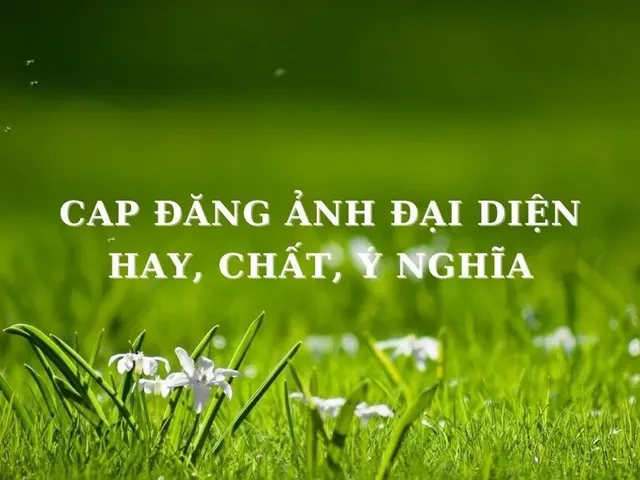 Tổng Hợp 1001+ Cap Hình Ảnh Hay Đăng Ảnh Câu Like Cho Giới Trẻ Kèm Stt (caption) Ý Nghĩa Tổng Hợp 1001+ Cap Hình Ảnh Hay Đăng Ảnh Câu Like Cho Giới Trẻ Kèm Stt (caption) Ý Nghĩa