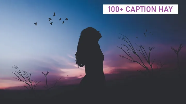 Tổng Hợp 1001+ Cap Hình Ảnh Hay Đăng Ảnh Câu Like Cho Giới Trẻ Kèm Stt (caption) Ý Nghĩa Tổng Hợp 1001+ Cap Hình Ảnh Hay Đăng Ảnh Câu Like Cho Giới Trẻ Kèm Stt (caption) Ý Nghĩa