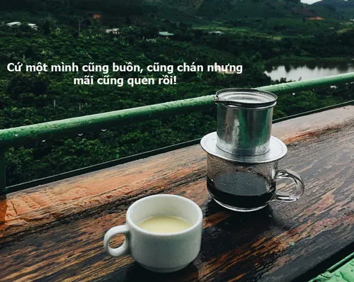 Tổng Hợp 1001+ Cap Hình Ảnh Hay Đăng Ảnh Câu Like Cho Giới Trẻ Kèm Stt (caption) Ý Nghĩa Tổng Hợp 1001+ Cap Hình Ảnh Hay Đăng Ảnh Câu Like Cho Giới Trẻ Kèm Stt (caption) Ý Nghĩa