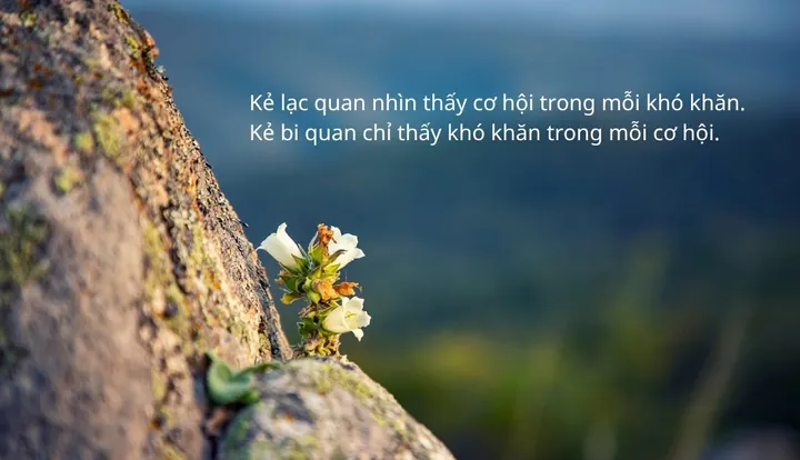 Tổng Hợp 1001+ Cap Hình Ảnh Hay Đăng Ảnh Câu Like Cho Giới Trẻ Kèm Stt (caption) Ý Nghĩa Tổng Hợp 1001+ Cap Hình Ảnh Hay Đăng Ảnh Câu Like Cho Giới Trẻ Kèm Stt (caption) Ý Nghĩa