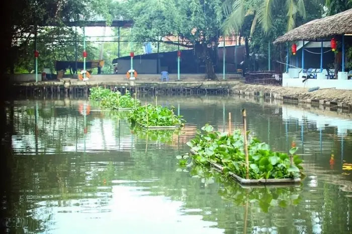 Top 9 Địa Điểm Câu Cá Giải Trí Ở Sài Gòn – Lựa Chọn Tốt Nhất Cho Cuối Tuần Top 9 Địa Điểm Câu Cá Giải Trí Ở Sài Gòn – Lựa Chọn Tốt Nhất Cho Cuối Tuần