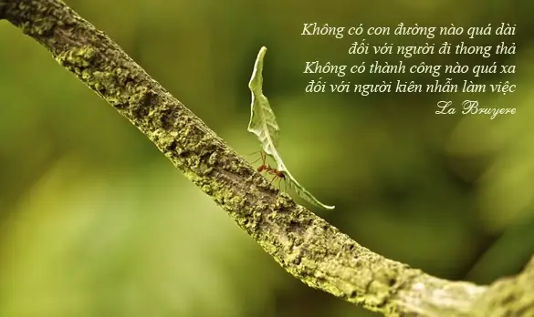 Tổng Hợp Câu Nói Hay Về Nhẫn Nhịn Và Chữ Nhẫn Cho Cuộc Sống An Nhiên Tổng Hợp Câu Nói Hay Về Nhẫn Nhịn Và Chữ Nhẫn Cho Cuộc Sống An Nhiên