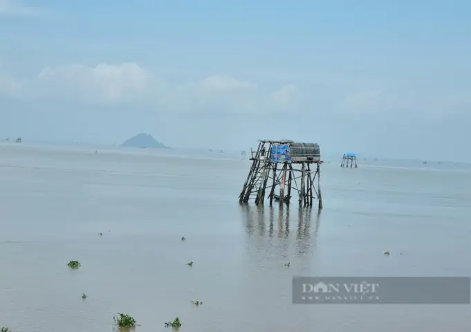 Cầu Vượt Biển Dài 6 Km Tới Cồn Nổi (kim Sơn, Ninh Bình) – Đường Đi, Lịch Sử Và Điểm Tham Quan Cầu Vượt Biển Dài 6 Km Tới Cồn Nổi (kim Sơn, Ninh Bình) – Đường Đi, Lịch Sử Và Điểm Tham Quan