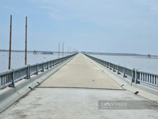 Cầu Vượt Biển Dài 6 Km Tới Cồn Nổi (kim Sơn, Ninh Bình) – Đường Đi, Lịch Sử Và Điểm Tham Quan Cầu Vượt Biển Dài 6 Km Tới Cồn Nổi (kim Sơn, Ninh Bình) – Đường Đi, Lịch Sử Và Điểm Tham Quan