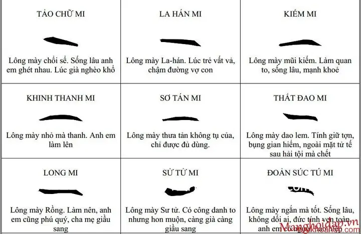 Khám Phá Ý Nghĩa Chân Mày Theo Tướng Số – Giải Thích Các Dạng Lông Mày Và Ảnh Hưởng Đến Vận Mệnh, Sự Nghiệp