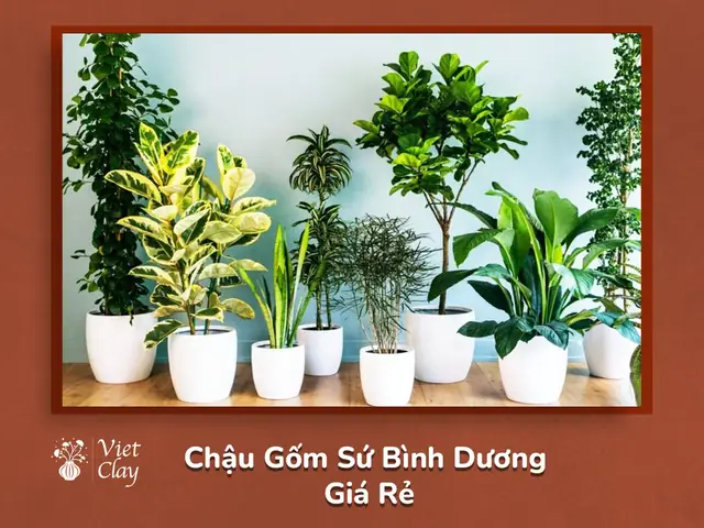 Mua Chậu Gốm Sứ Bình Dương Giá Rẻ: Địa Chỉ, Mẫu Mã Và Mẹo Chọn Cho Người Tiêu Dùng Mua Chậu Gốm Sứ Bình Dương Giá Rẻ: Địa Chỉ, Mẫu Mã Và Mẹo Chọn Cho Người Tiêu Dùng