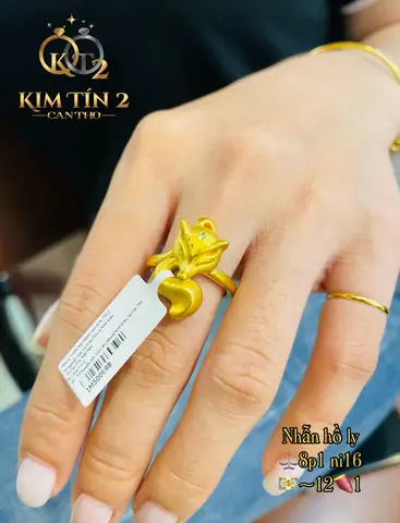 Lời Bài Hát Và Hợp Âm "đám Cưới Như Mơ" Với Câu Chiếc Nhẫn Xinh Kết Duyên Đôi Mình