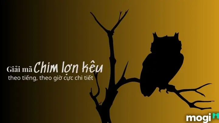 Giải Mã Điềm Báo Tiếng Chim Lợn Kêu: Xấu Hay Tốt Theo Dân Gian Và Khoa Học Giải Mã Điềm Báo Tiếng Chim Lợn Kêu: Xấu Hay Tốt Theo Dân Gian Và Khoa Học