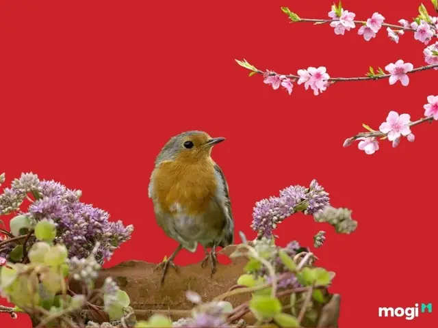 Giải Mã Ý Nghĩa Chim Sâu Đậu Ở Cửa Sổ: Điềm Báo Phong Thủy Cho Gia Chủ Giải Mã Ý Nghĩa Chim Sâu Đậu Ở Cửa Sổ: Điềm Báo Phong Thủy Cho Gia Chủ