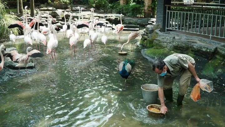 Gợi Ý Khu Vui Chơi Cho Bé Đi Chơi Cuối Tuần Tại Tphcm Và Hà Nội Gợi Ý Khu Vui Chơi Cho Bé Đi Chơi Cuối Tuần Tại Tphcm Và Hà Nội