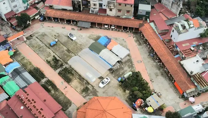 Chợ Hàng Hải Phòng Bán Chó: Địa Chỉ, Lịch Mở, Giá Và Hướng Dẫn Mua An Toàn Chợ Hàng Hải Phòng Bán Chó: Địa Chỉ, Lịch Mở, Giá Và Hướng Dẫn Mua An Toàn