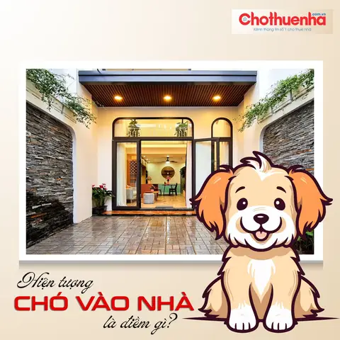 Giải Mã Điềm Báo Chó Vào Nhà: Tốt Hay Xấu Theo Phong Thủy Dân Gian