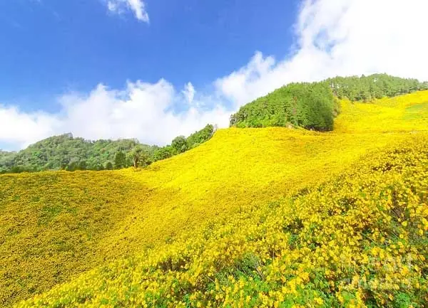 Khám Phá Núi Lửa Chư Đăng Ya Tại Chư Păh, Gia Lai: Thắng Cảnh Thiên Nhiên Tây Nguyên Khám Phá Núi Lửa Chư Đăng Ya Tại Chư Păh, Gia Lai: Thắng Cảnh Thiên Nhiên Tây Nguyên