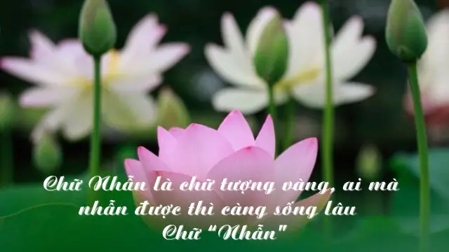 Giải Mã Câu Nói "chữ Nhẫn Là Chữ Tượng Vàng": Ý Nghĩa Bài Thơ Cổ Và Giá Trị Đức Nhẫn