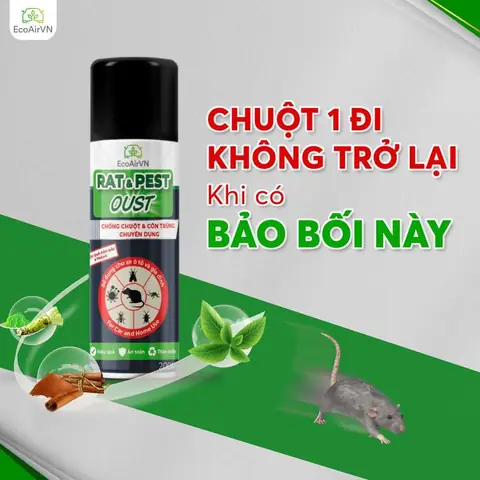 Giải Mã Điềm Báo Tiếng Chuột Reo Ban Đêm: Tốt Hay Xấu Và Con Số Liên Quan Giải Mã Điềm Báo Tiếng Chuột Reo Ban Đêm: Tốt Hay Xấu Và Con Số Liên Quan