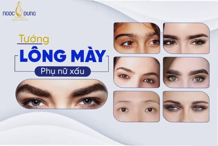 Xem Tướng Chân Mày Nam Nữ: Giải Mã 20+ Loại Dáng Lông Mày Phong Thủy, Ý Nghĩa Vận Mệnh, Sự Nghiệp Và Tình Duyên