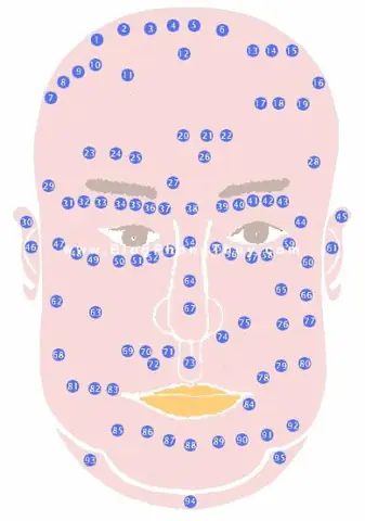Giải Mã Ý Nghĩa Nốt Ruồi Trên Khuôn Mặt Theo Nhân Tướng Học Cho Nam Và Nữ Giải Mã Ý Nghĩa Nốt Ruồi Trên Khuôn Mặt Theo Nhân Tướng Học Cho Nam Và Nữ