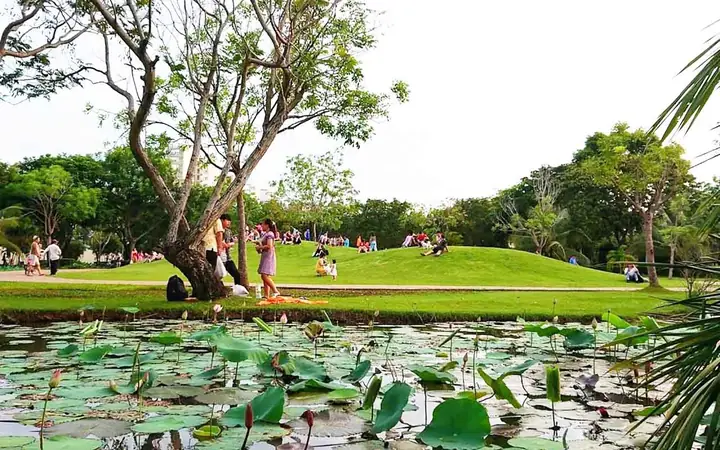 Khám Phá Công Viên Cầu Ánh Sao Quận 7: Vị Trí, Vẻ Đẹp Và Trải Nghiệm Check-in Lung Linh