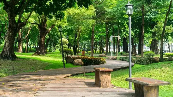Diện Tích Công Viên Gia Định Là Bao Nhiêu? Tổng Quan Chi Tiết Cho Người Yêu Thiên Nhiên Diện Tích Công Viên Gia Định Là Bao Nhiêu? Tổng Quan Chi Tiết Cho Người Yêu Thiên Nhiên