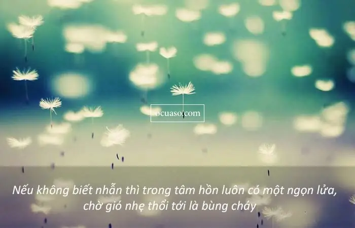 Danh Ngôn Về Chữ Nhẫn: 30 Câu Hay, Ý Nghĩa Và Cách Áp Dụng Trong Cuộc Sống Danh Ngôn Về Chữ Nhẫn: 30 Câu Hay, Ý Nghĩa Và Cách Áp Dụng Trong Cuộc Sống