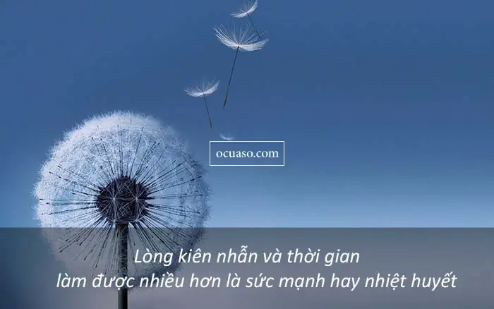 Danh Ngôn Về Chữ Nhẫn: 30 Câu Hay, Ý Nghĩa Và Cách Áp Dụng Trong Cuộc Sống Danh Ngôn Về Chữ Nhẫn: 30 Câu Hay, Ý Nghĩa Và Cách Áp Dụng Trong Cuộc Sống