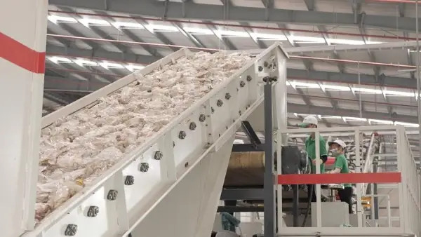 Tìm Hiểu Dây Chuyền Tái Chế Nhựa Pet: Cấu Tạo, Quy Trình Vận Hành Và Tùy Chọn Công Suất