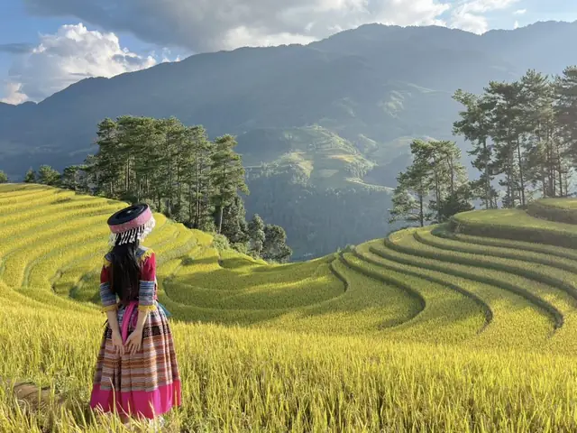 Đi Mù Cang Chải Tháng Nào Đẹp Nhất? Lịch Trình Thời Điểm Vàng Cho Du Lịch