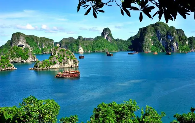 Tổng Hợp Các Di Sản Văn Hóa Việt Nam Được Unesco Công Nhận Theo Từng Loại Hình