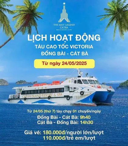 Hướng Dẫn Đi Tàu Cao Tốc Ra Cát Bà Từ Hải Phòng Và Hạ Long Cho Du Khách Hướng Dẫn Đi Tàu Cao Tốc Ra Cát Bà Từ Hải Phòng Và Hạ Long Cho Du Khách
