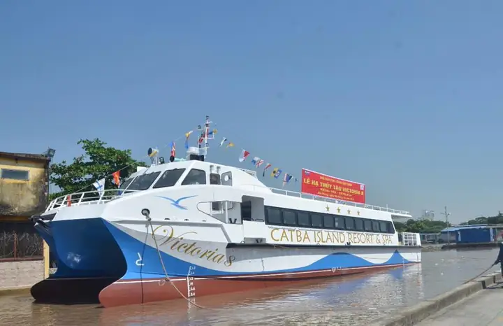 Hướng Dẫn Đi Tàu Cao Tốc Ra Cát Bà Từ Hải Phòng Và Hạ Long Cho Du Khách Hướng Dẫn Đi Tàu Cao Tốc Ra Cát Bà Từ Hải Phòng Và Hạ Long Cho Du Khách