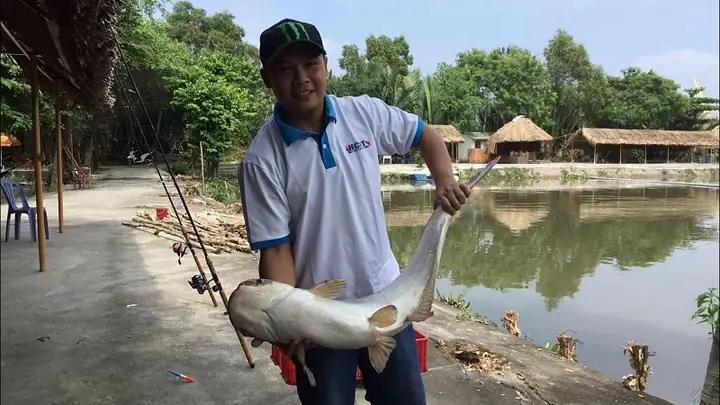 Tổng Hợp Các Địa Điểm Câu Cá Ở Sài Gòn Lý Tưởng Để Xả Stress Cho Người Yêu Thiên Nhiên Tổng Hợp Các Địa Điểm Câu Cá Ở Sài Gòn Lý Tưởng Để Xả Stress Cho Người Yêu Thiên Nhiên