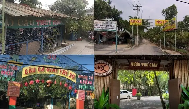 Tổng Hợp Các Địa Điểm Câu Cá Ở Sài Gòn Lý Tưởng Để Xả Stress Cho Người Yêu Thiên Nhiên Tổng Hợp Các Địa Điểm Câu Cá Ở Sài Gòn Lý Tưởng Để Xả Stress Cho Người Yêu Thiên Nhiên