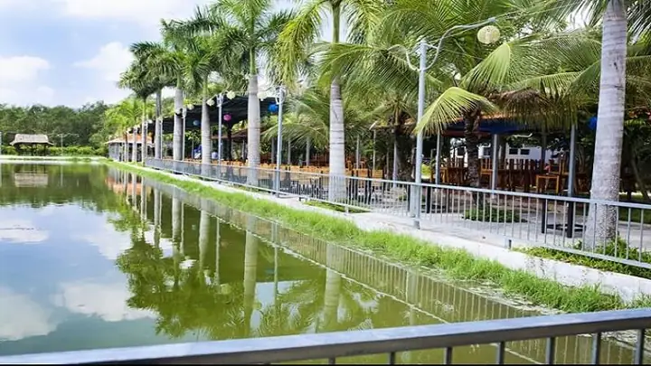 Tổng Hợp Các Địa Điểm Câu Cá Ở Sài Gòn Lý Tưởng Để Xả Stress Cho Người Yêu Thiên Nhiên Tổng Hợp Các Địa Điểm Câu Cá Ở Sài Gòn Lý Tưởng Để Xả Stress Cho Người Yêu Thiên Nhiên