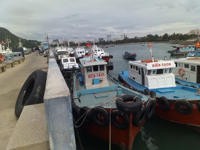 Tìm Dịch Vụ Câu Cá Biển Vũng Tàu: Các Tour Tàu, Cano Trọn Gói Và Giá Tham Khảo