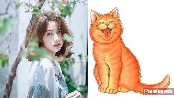 Tổng Hợp Điềm Báo Hao Tài: Những Dấu Hiệu Dân Gian Báo Hiệu Mất Tiền Cần Đề Phòng