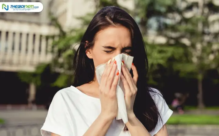 Giải Mã Điềm Báo Hắt Xì Hơi (nhảy Mũi) Theo Giờ, Ngày Và Số Lần Chi Tiết Giải Mã Điềm Báo Hắt Xì Hơi (nhảy Mũi) Theo Giờ, Ngày Và Số Lần Chi Tiết