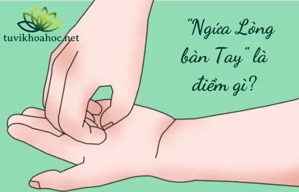 Lý Giải Ngứa Tay Phải Là Điềm Báo Gì Ở Nam Và Nữ Lý Giải Ngứa Tay Phải Là Điềm Báo Gì Ở Nam Và Nữ
