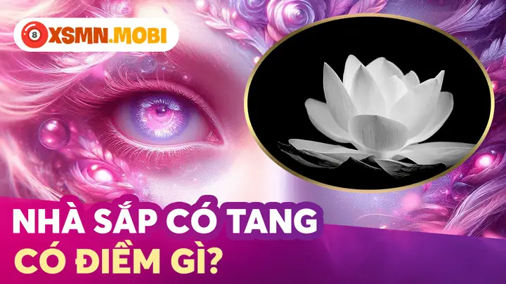 Giải Mã Điềm Báo Nhà Sắp Có Tang: Dấu Hiệu Y Khoa Và Quan Niệm Dân Gian Giải Mã Điềm Báo Nhà Sắp Có Tang: Dấu Hiệu Y Khoa Và Quan Niệm Dân Gian