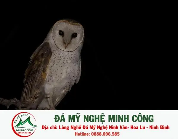 Giải Mã Điềm Báo Nhà Sắp Có Tang: Dấu Hiệu Y Khoa Và Quan Niệm Dân Gian Giải Mã Điềm Báo Nhà Sắp Có Tang: Dấu Hiệu Y Khoa Và Quan Niệm Dân Gian