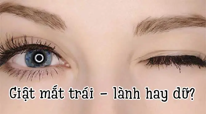 Giải Mã Điềm Báo Nháy Mắt Trái Theo Giờ: Ý Nghĩa Khung Giờ Và Điềm Lành, Điềm Dữ Cho Nam, Nữ Giải Mã Điềm Báo Nháy Mắt Trái Theo Giờ: Ý Nghĩa Khung Giờ Và Điềm Lành, Điềm Dữ Cho Nam, Nữ