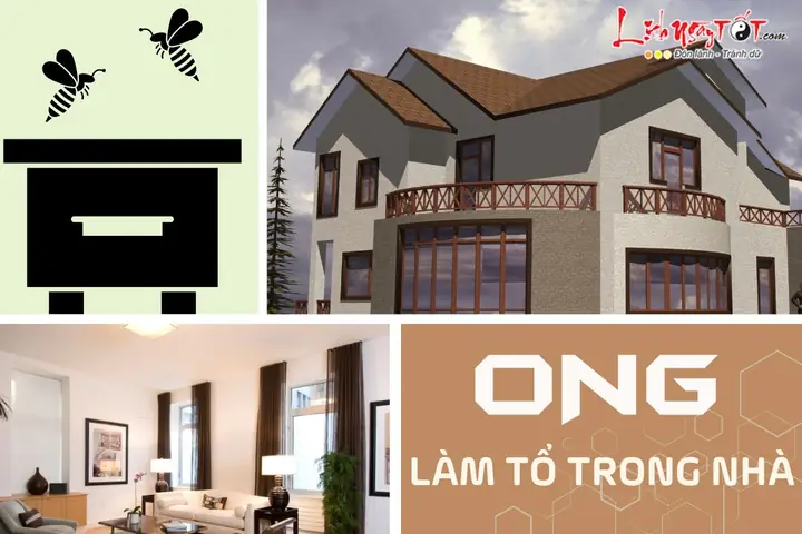 Giải Mã Điềm Báo Ong Làm Tổ Trong Nhà: Tốt Hay Xấu Và Ý Nghĩa Phong Thủy Cho Gia Chủ Giải Mã Điềm Báo Ong Làm Tổ Trong Nhà: Tốt Hay Xấu Và Ý Nghĩa Phong Thủy Cho Gia Chủ