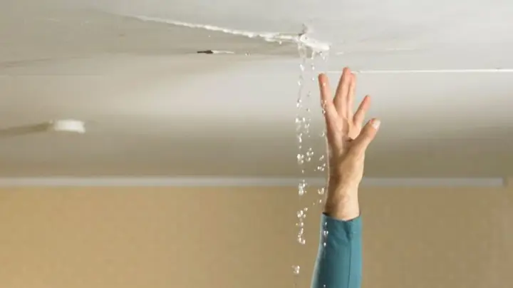 Giải Mã Điềm Báo Giấc Mơ Thấy Nhà Bị Dột: Tốt Hay Xấu Và Ý Nghĩa Phong Thủy
