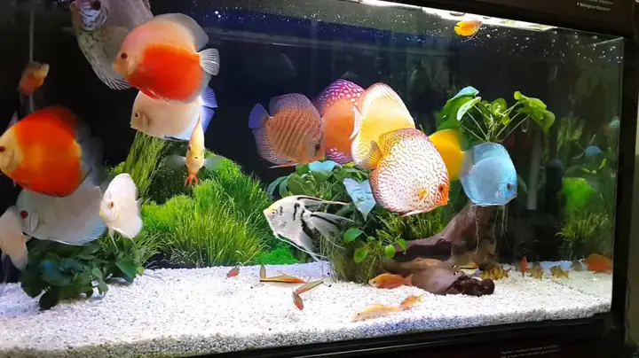 Giải Mã Điềm Báo Từ Trời Qua Các Thiên Tượng Lạ Trên Bầu Trời Giải Mã Điềm Báo Từ Trời Qua Các Thiên Tượng Lạ Trên Bầu Trời
