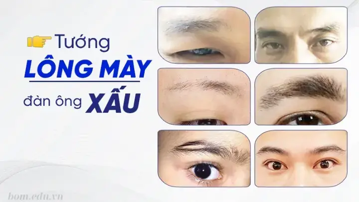 Xem Tướng Số Lông Mày Đoán Tính Cách Và Vận Mệnh Đàn Ông, Phụ Nữ Xem Tướng Số Lông Mày Đoán Tính Cách Và Vận Mệnh Đàn Ông, Phụ Nữ