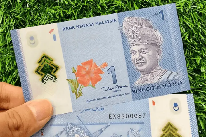 Tỷ Giá Đổi Tiền Malaysia Sang Vn: 1 Myr = Bao Nhiêu Vnd Hôm Nay? Tỷ Giá Đổi Tiền Malaysia Sang Vn: 1 Myr = Bao Nhiêu Vnd Hôm Nay?